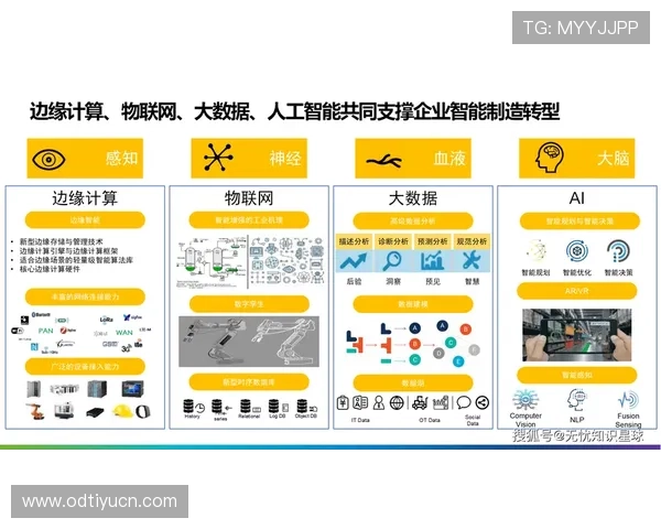 满冠在线官网成为行业内最具影响力的数字化平台之一 满冠在线官网成为行业内最具影响力的数字化平台之一
