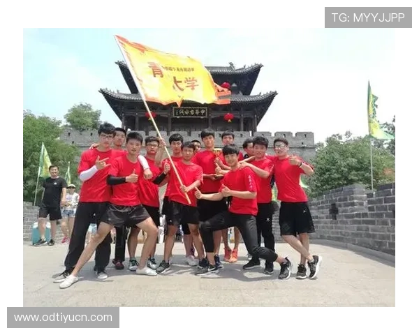 如何利用ued官滚球的赔率优势实现稳定盈利的实用策略推荐