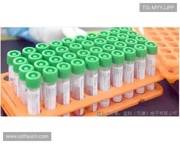 赢体育下载助力全民健身新体验，海量赛事资源免费畅享