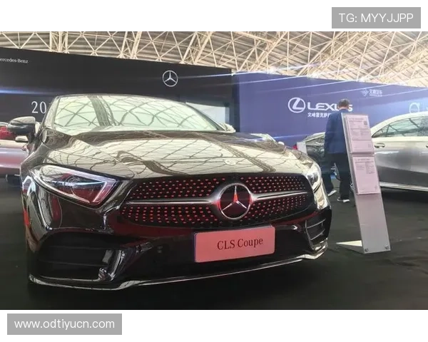 飞驰集团会员注册优惠活动及最新促销信息一站式获取